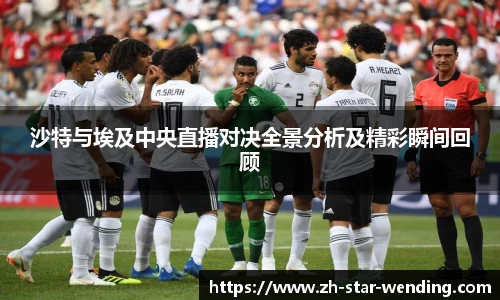 沙特与埃及中央直播对决全景分析及精彩瞬间回顾